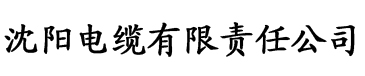 富二代国际破解版电缆厂logo